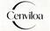 Cenviloa Shop - Home